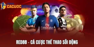 Red88 - Cá Cược Thể Thao Sôi Động, Kèo Cược Đa Dạng