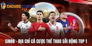Sin88 - Địa Chỉ Cá Cược Thể Thao Sôi Động Top 1 Thế Giới